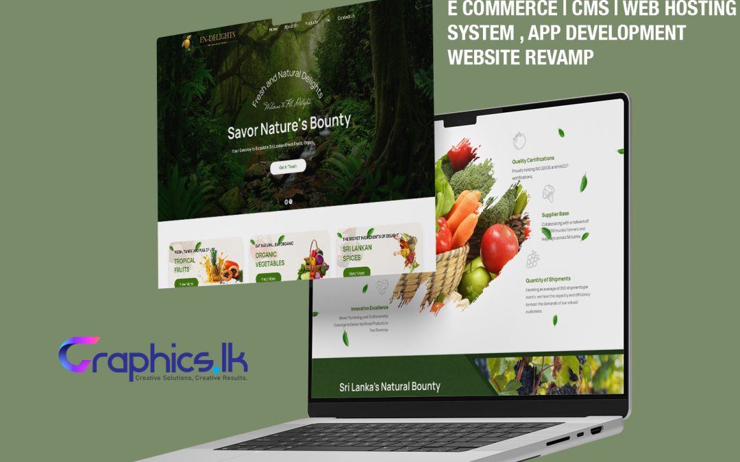 How E-commerce, CMS, Web Hosting & Website Revamps Can Transform Your Business